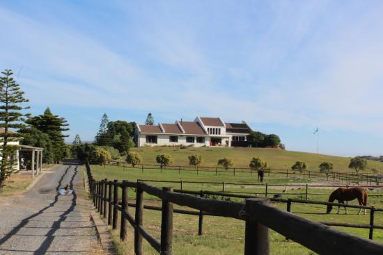 The Dunes Riding and Racing Stables
